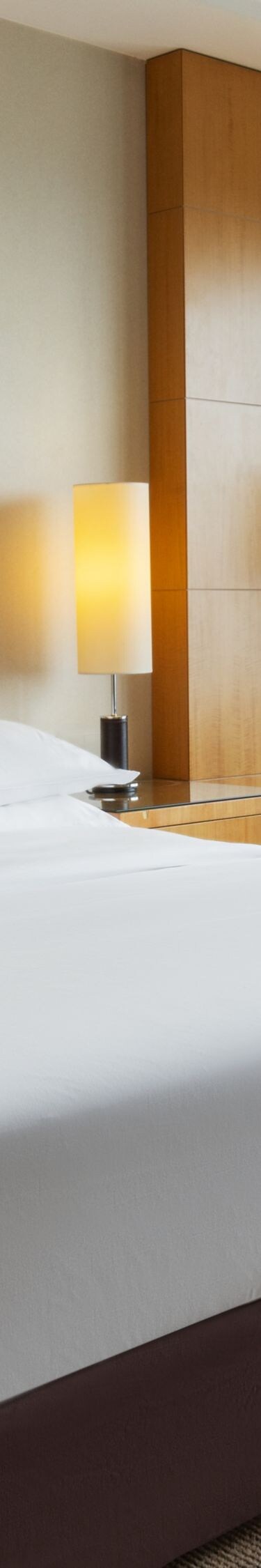 King bed with seating area and city view