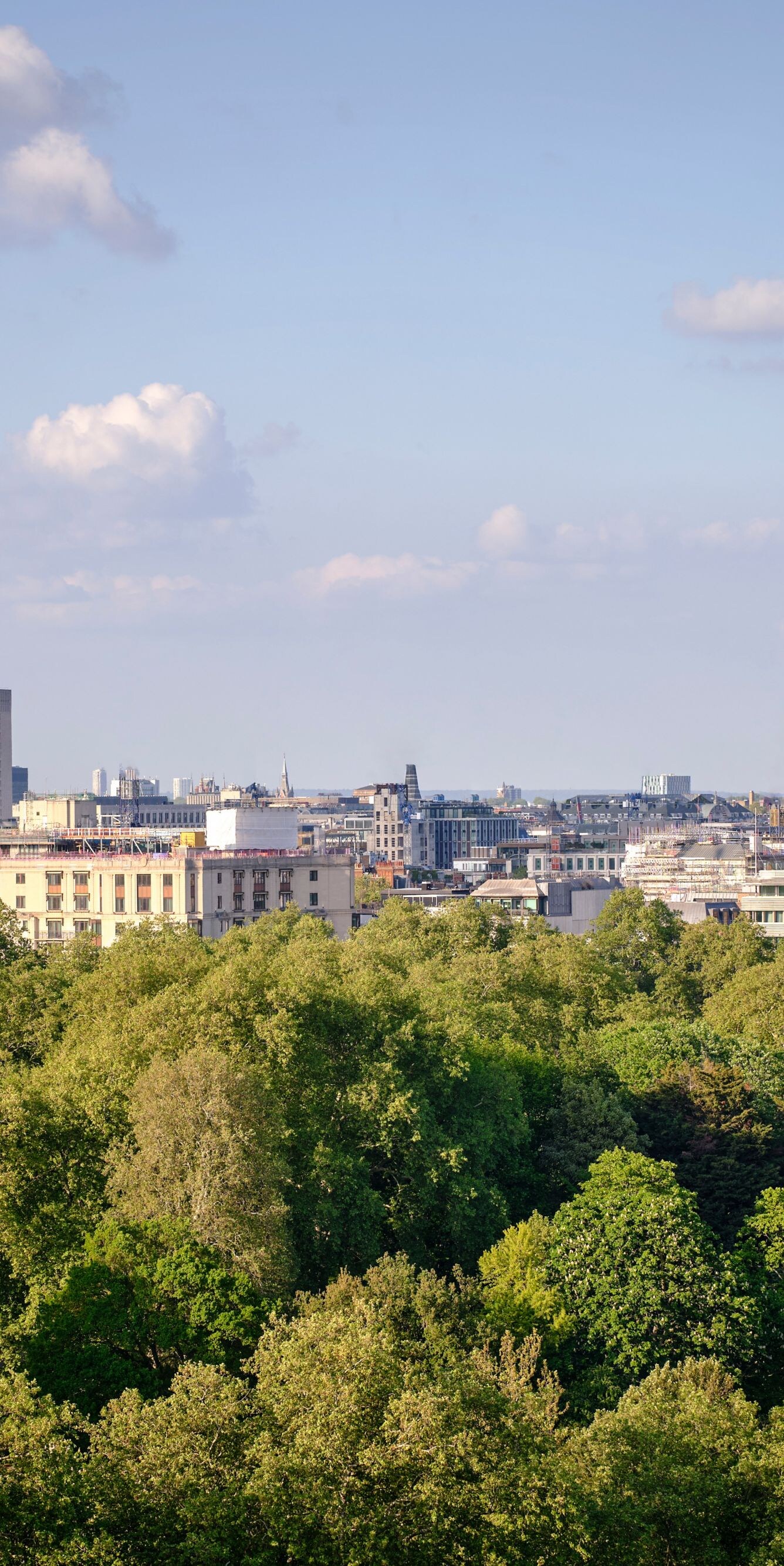 Hyde Park Views 