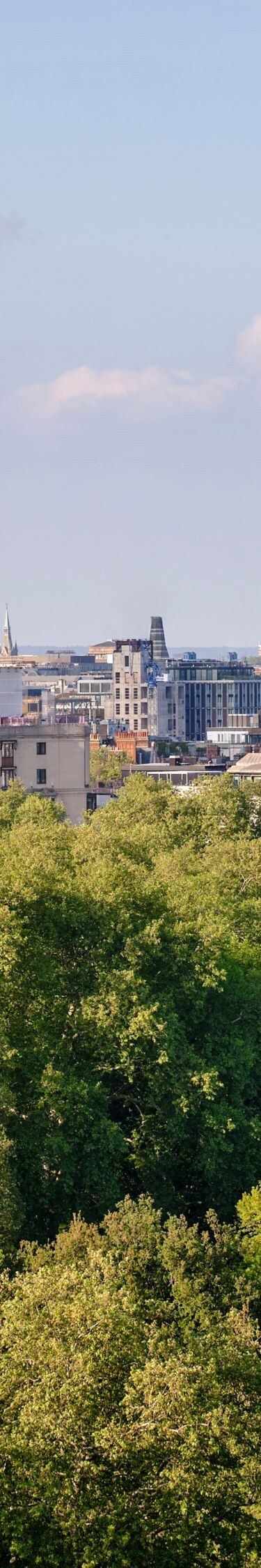 Hyde Park Views 