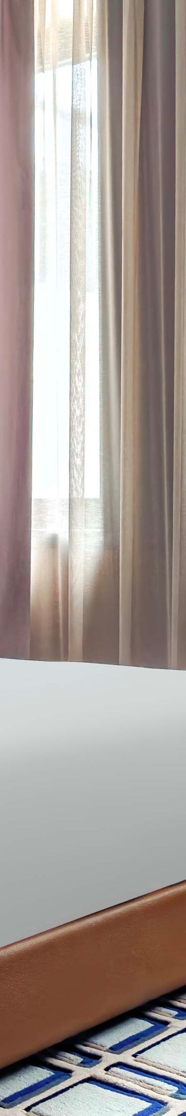 overview Premier room