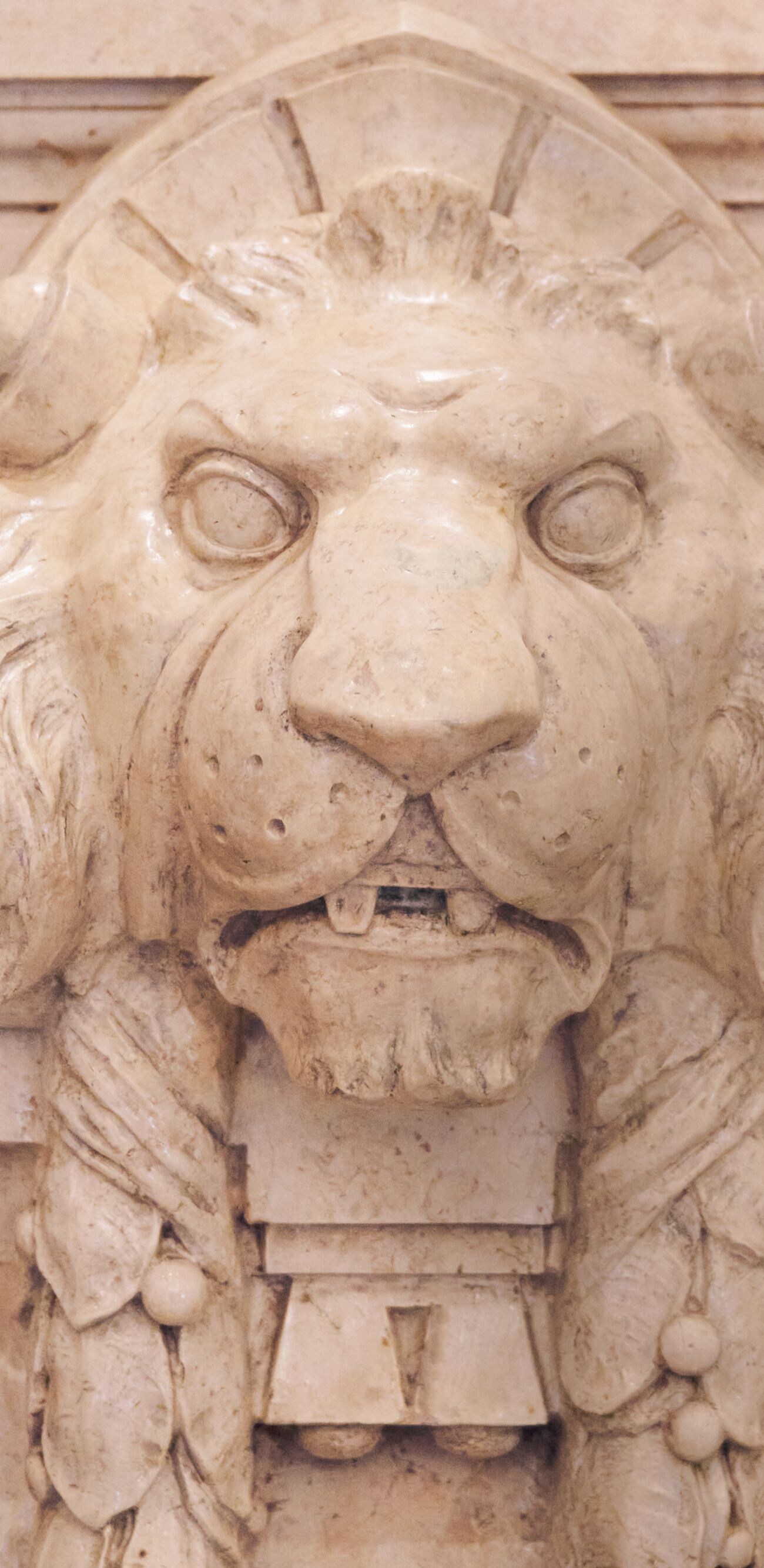 mascotte, lion
