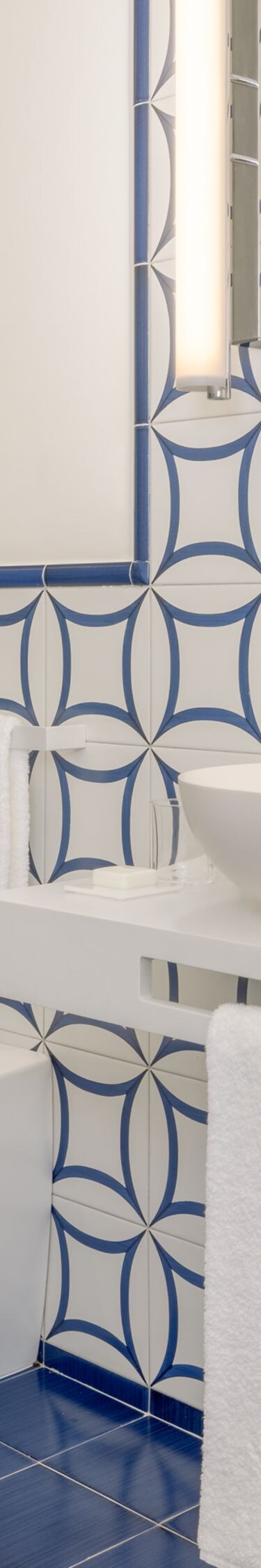 Blue and white tiled bathroom with double vanity