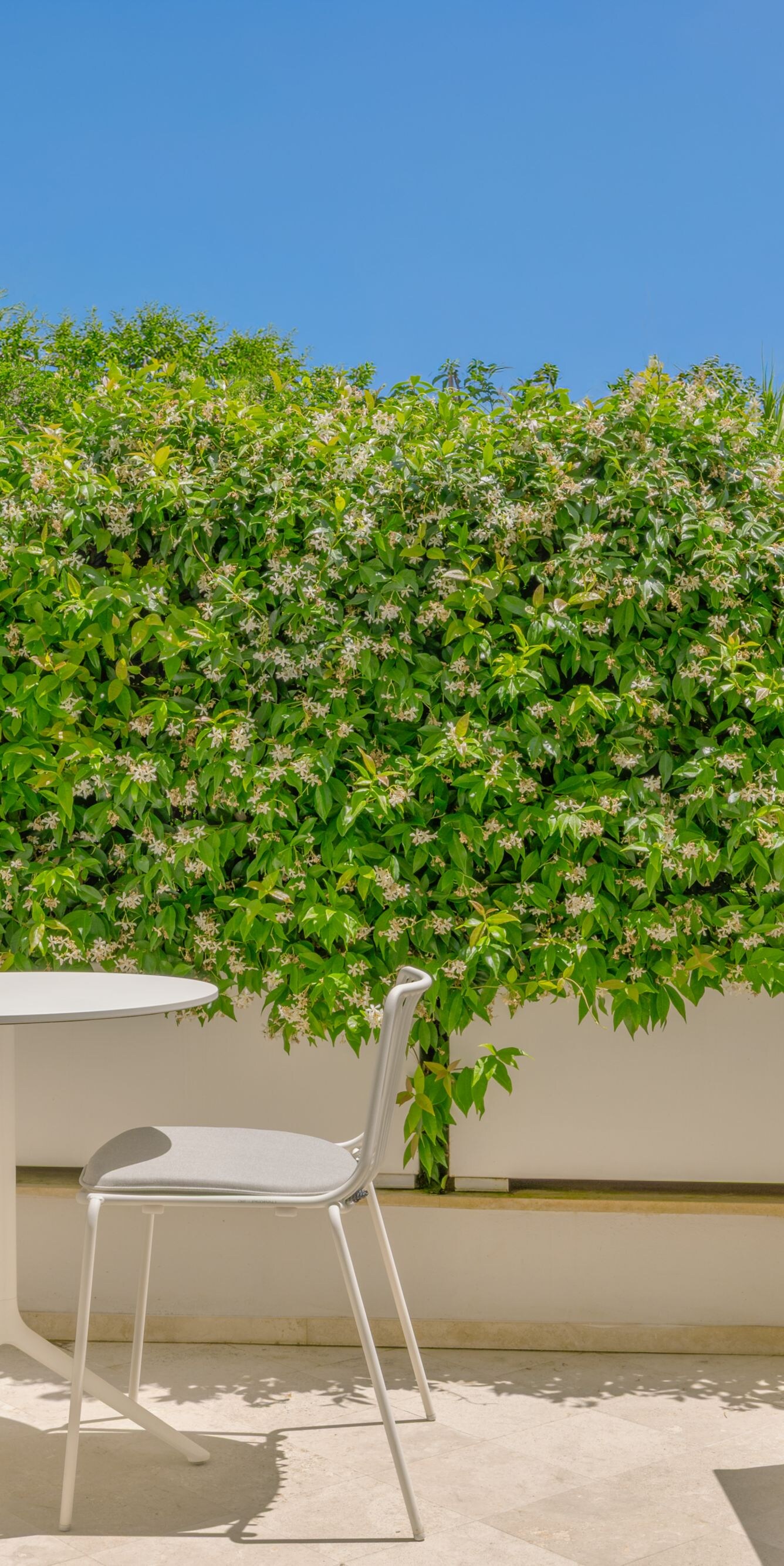Private patio with table, chairs and plunge pool