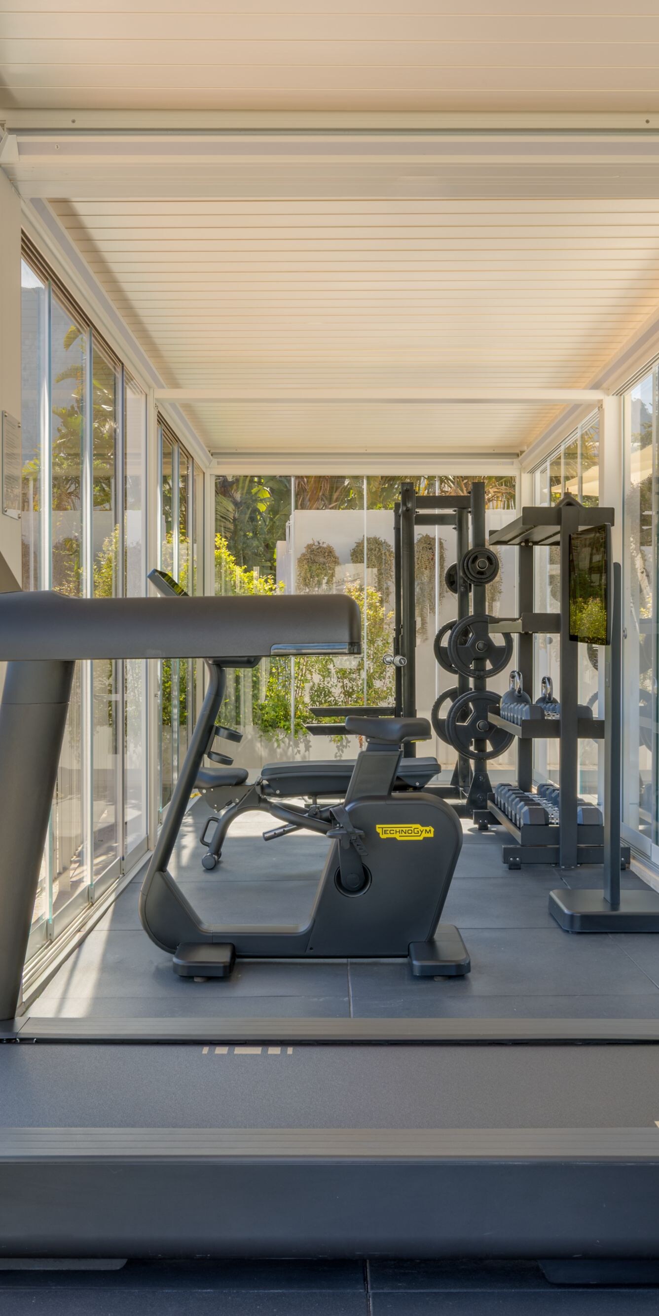 treadmill and exercise equipment