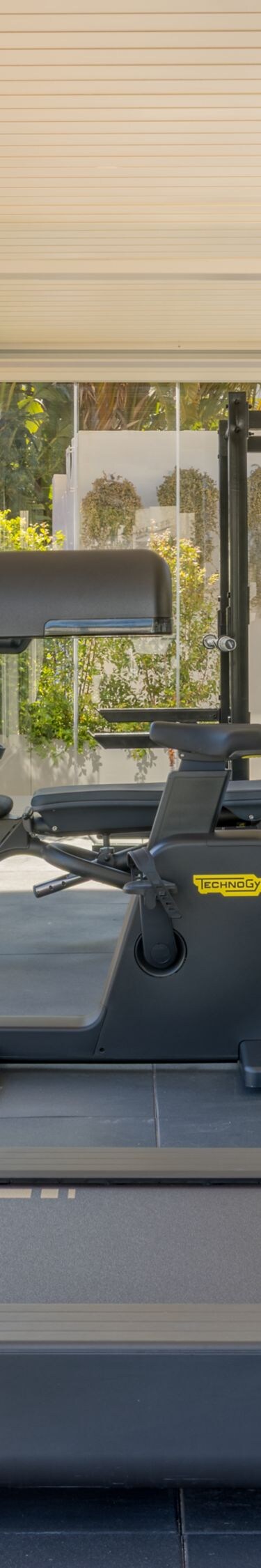 treadmill and exercise equipment