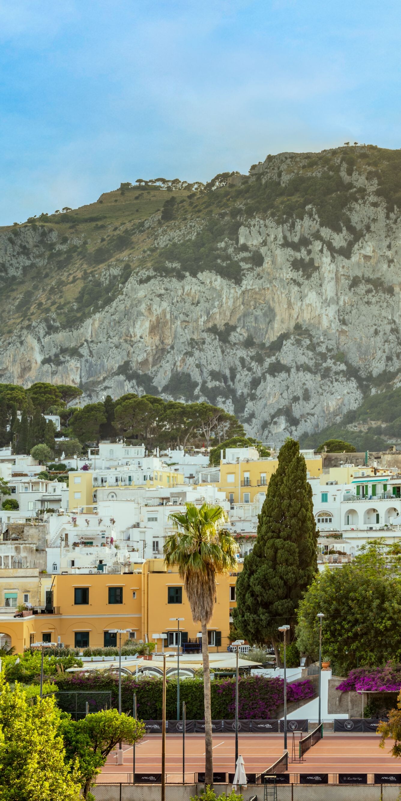 Scenic town and mountain view with lush greenery