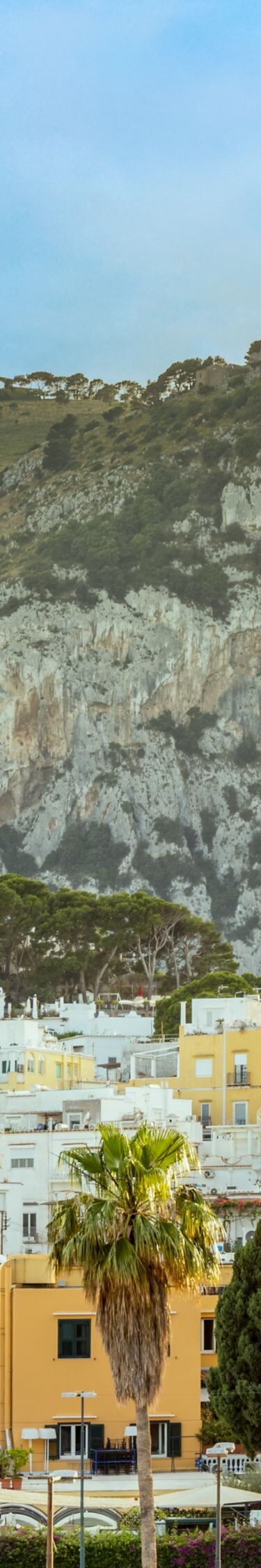 Scenic town and mountain view with lush greenery