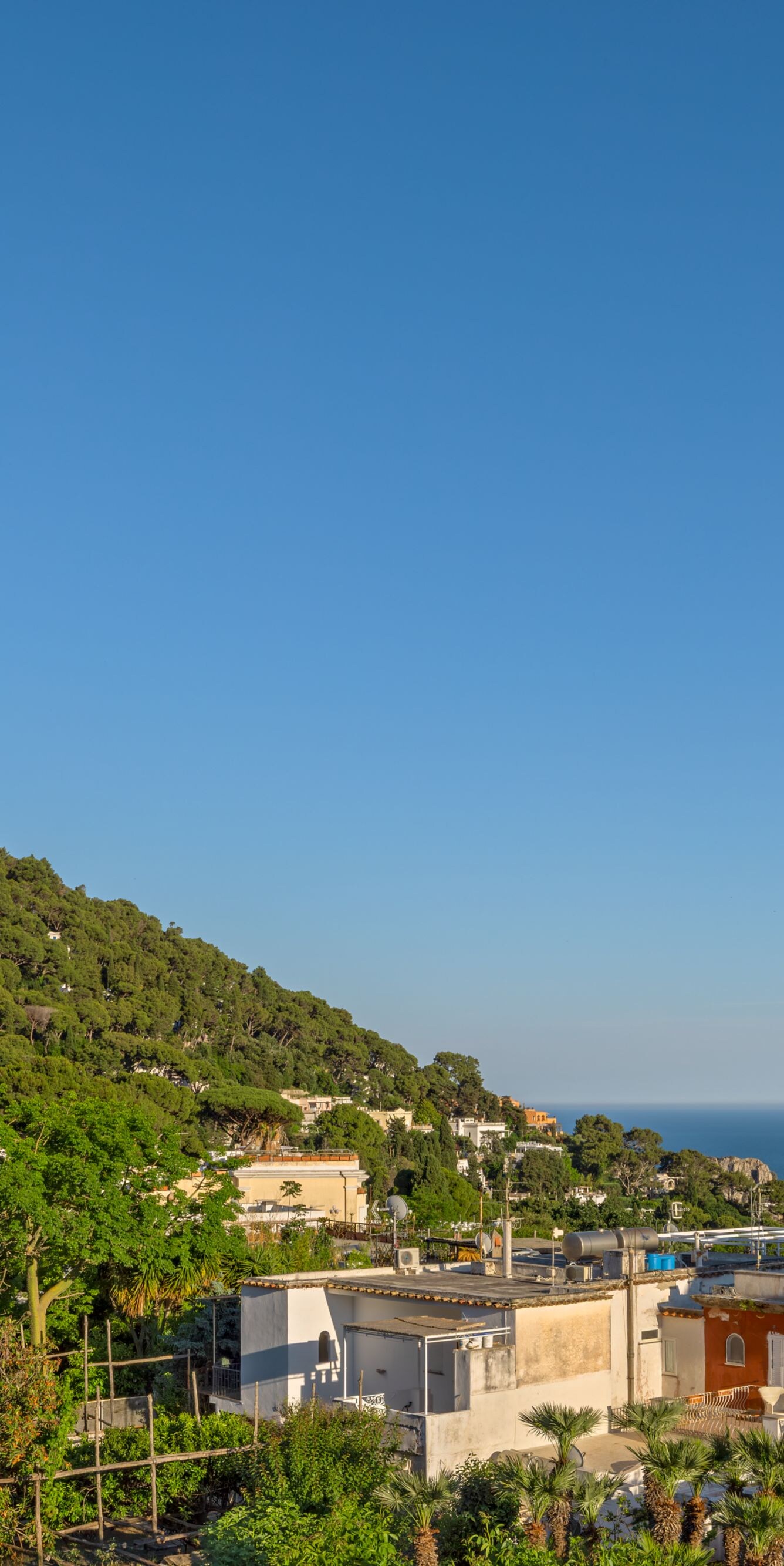 Coastal hillside and ocean view above town rooftop