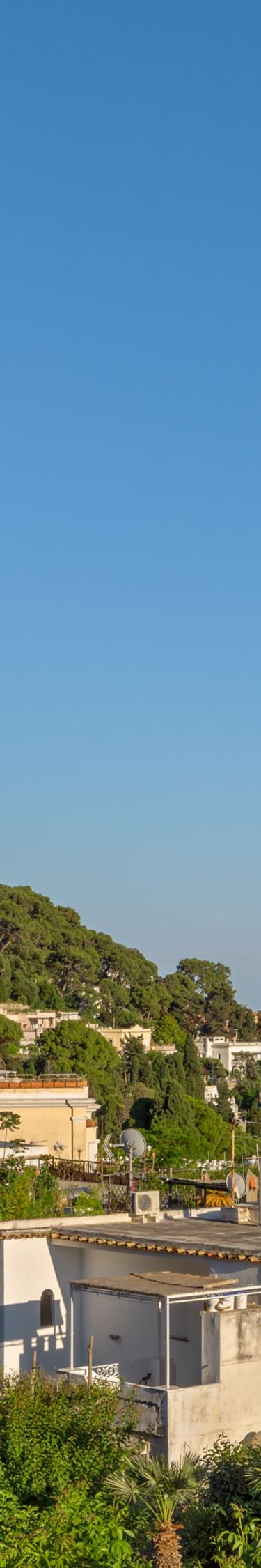 Coastal hillside and ocean view above town rooftop