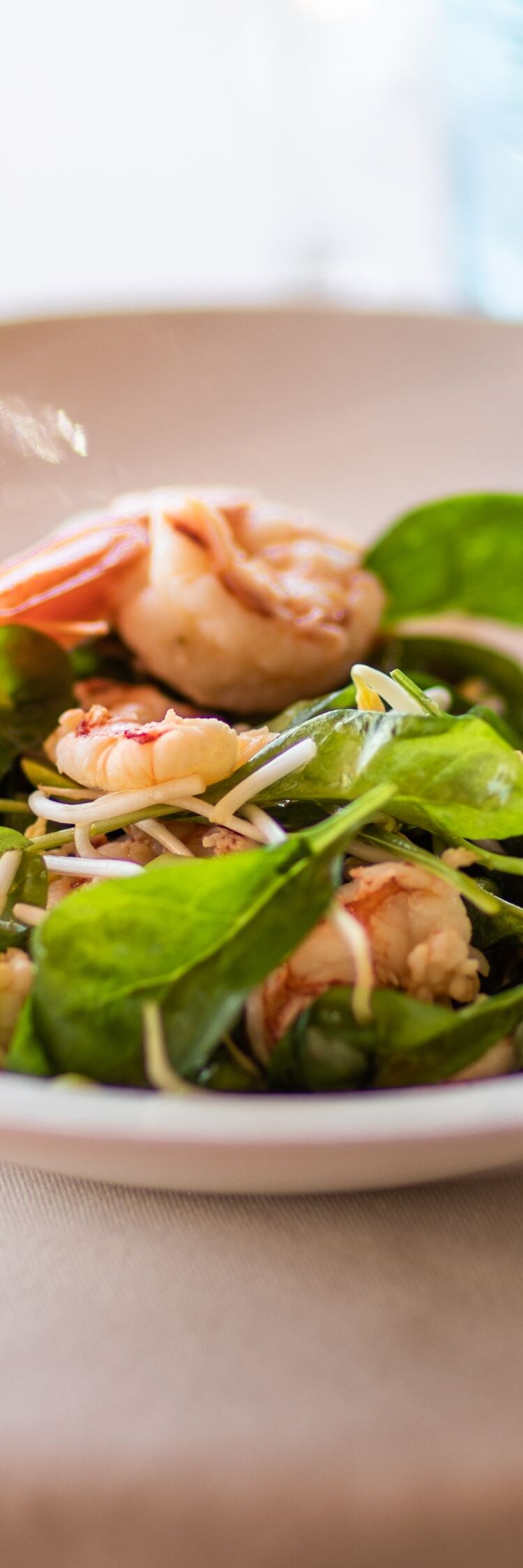 Shrimp salad