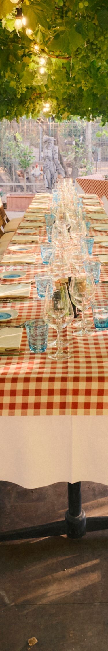 Outdoor dining table beneath grapevines