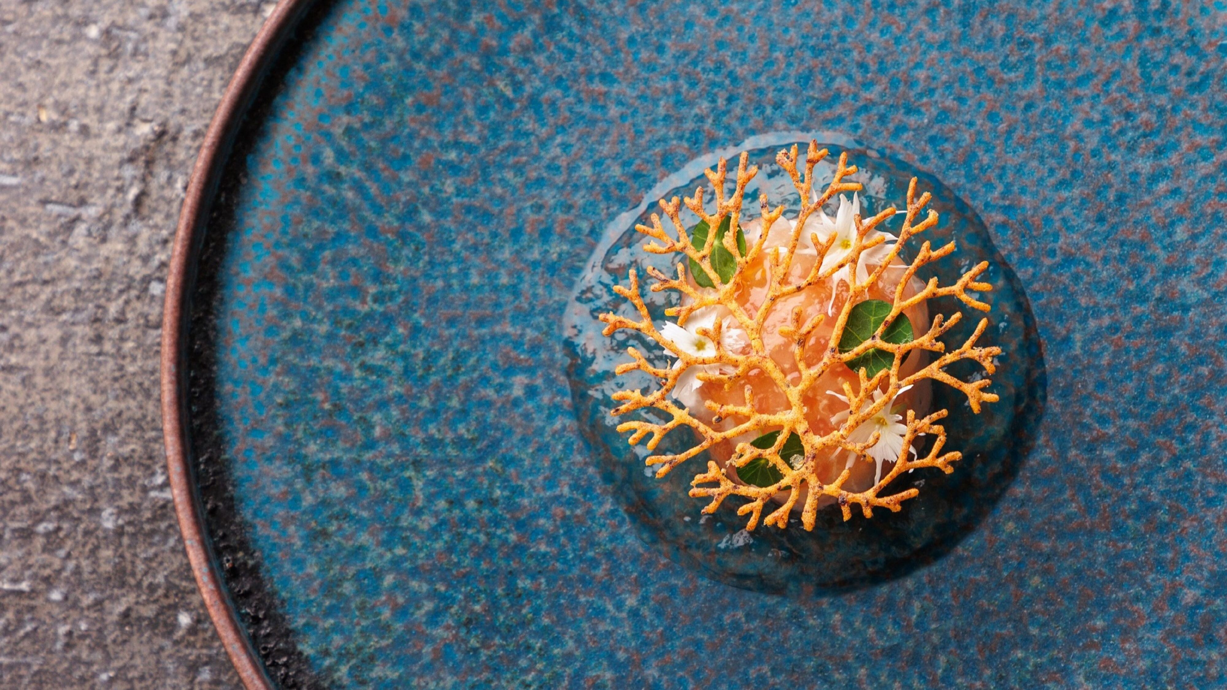 Innovative Kyoto-French TOKI