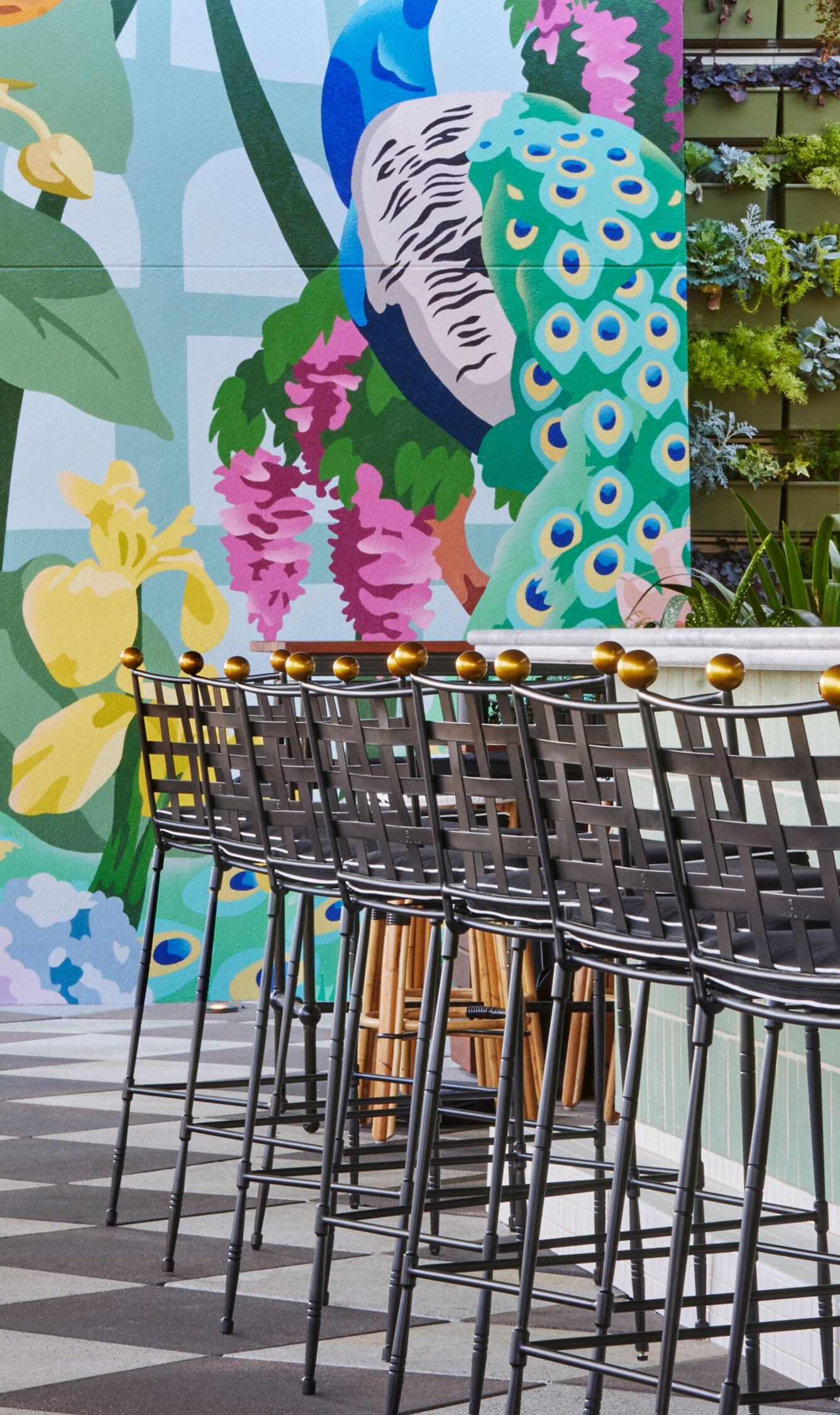  Peacock Mural and living wall with plants in bar