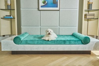Pet Package