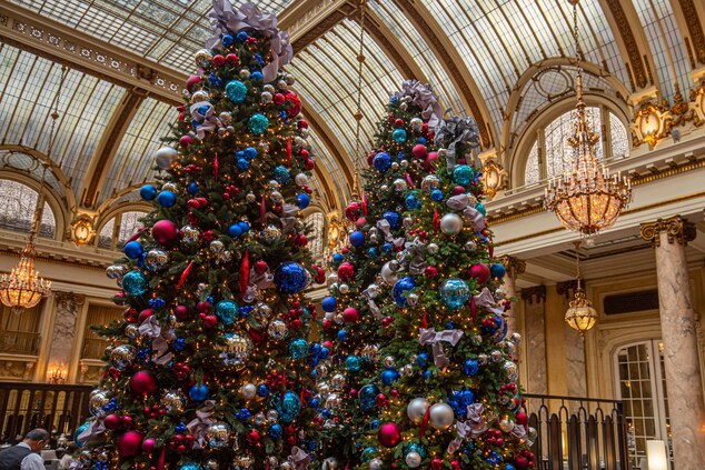 Christmas Trees at The Palace