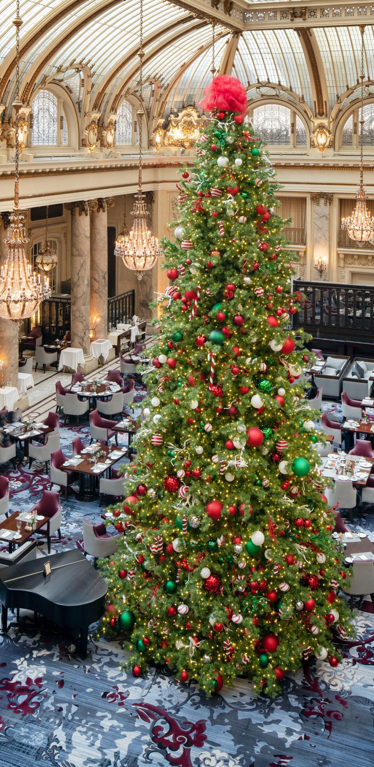Daytime tree shot from French Parlor