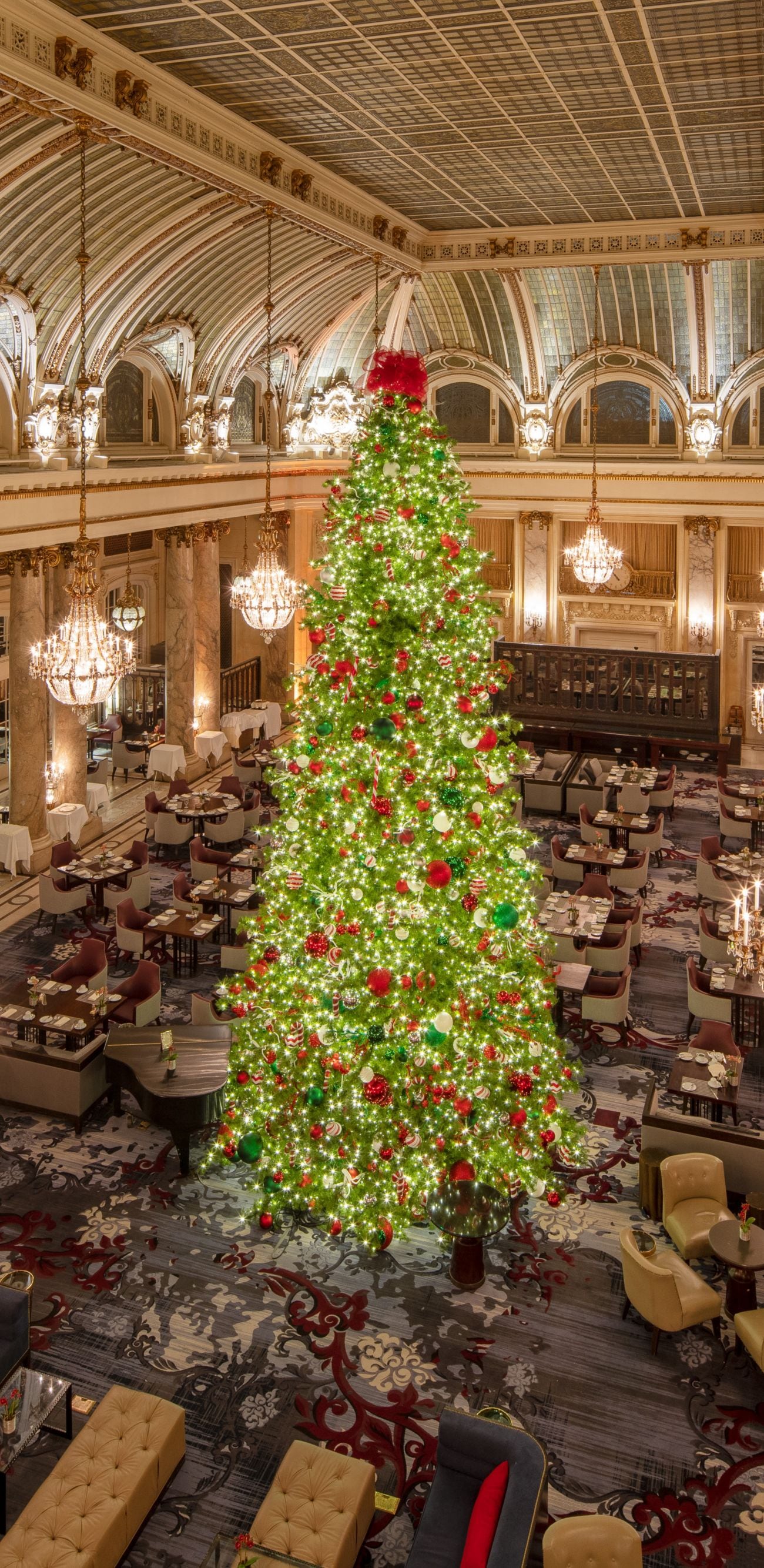 Evening tree shot from French Parlor