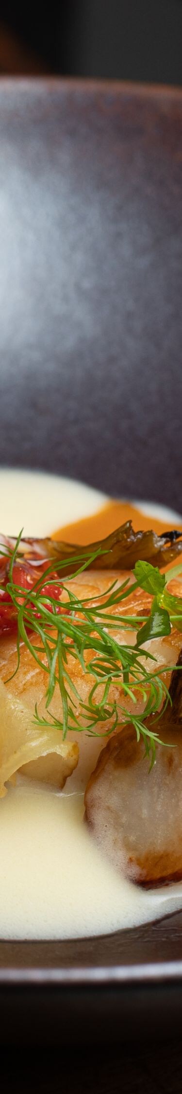 Gegrillte Jakobsmuscheln mit Beurre Blanc