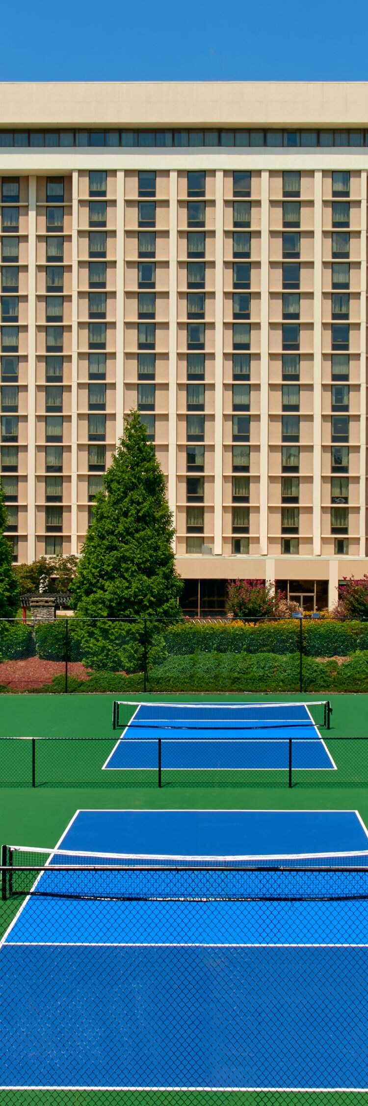 6 blue and green pickleball courts hotel