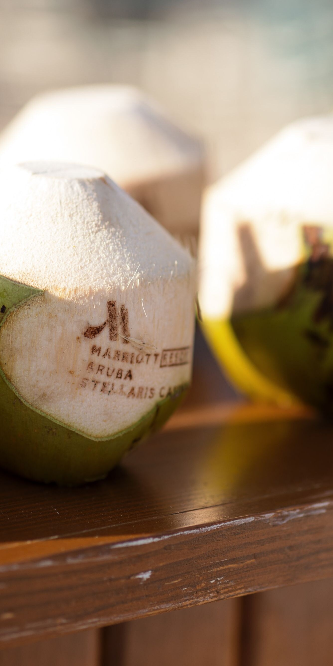 A row of fresh green-and-white coconuts displayed 
