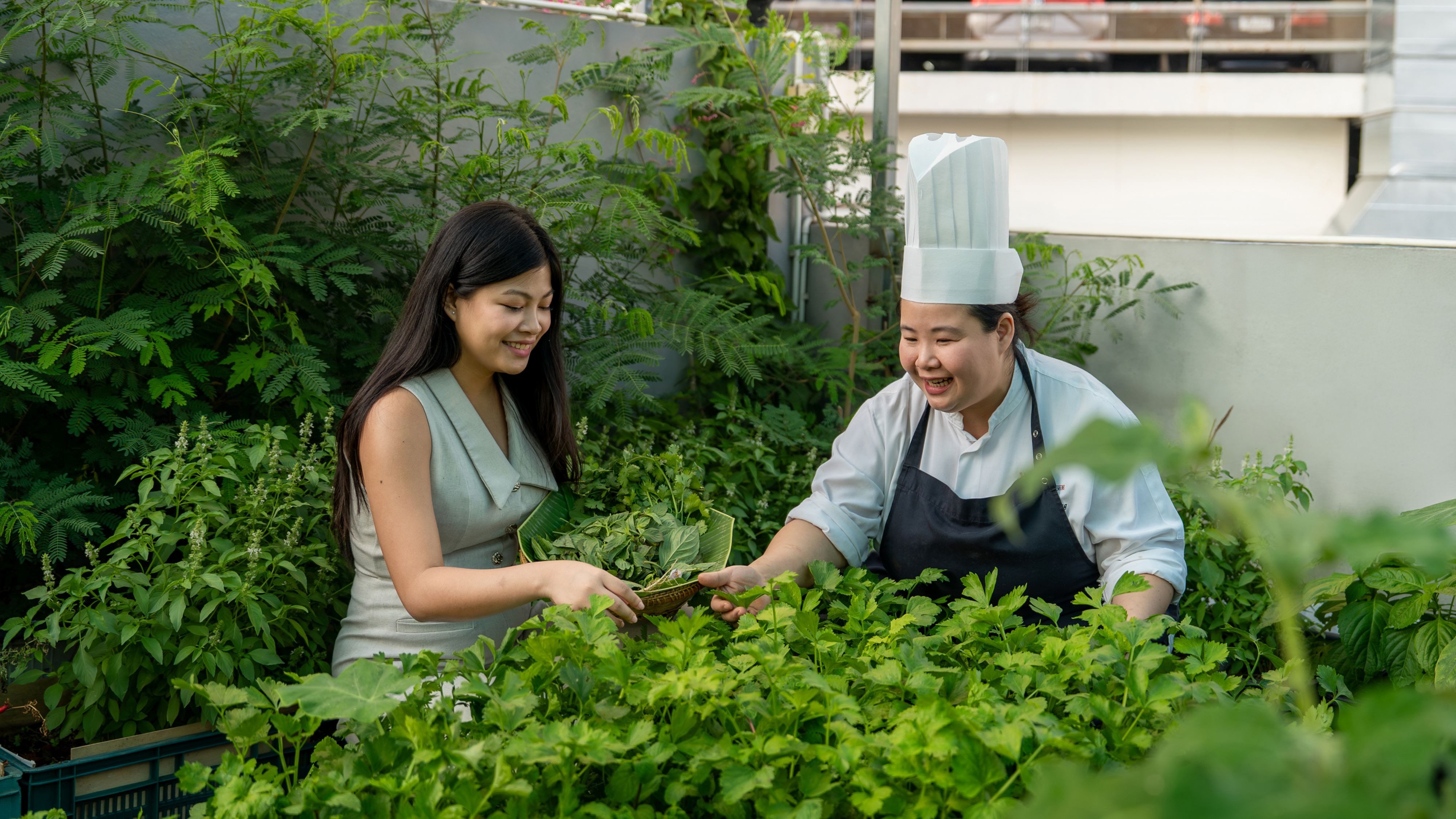 Farm to Table Journey