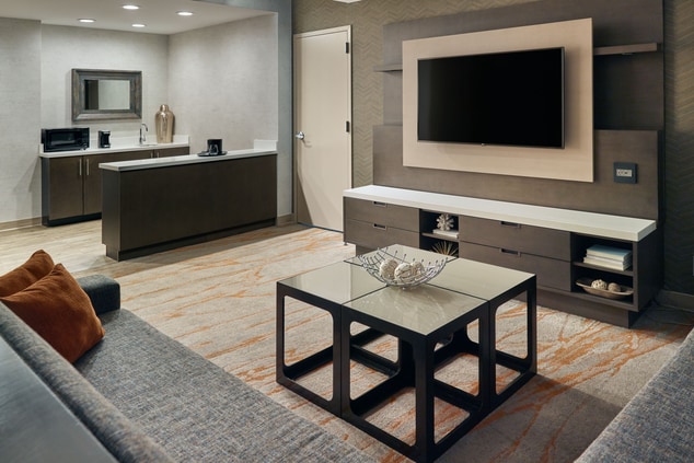TV Area for Presidential Suite
