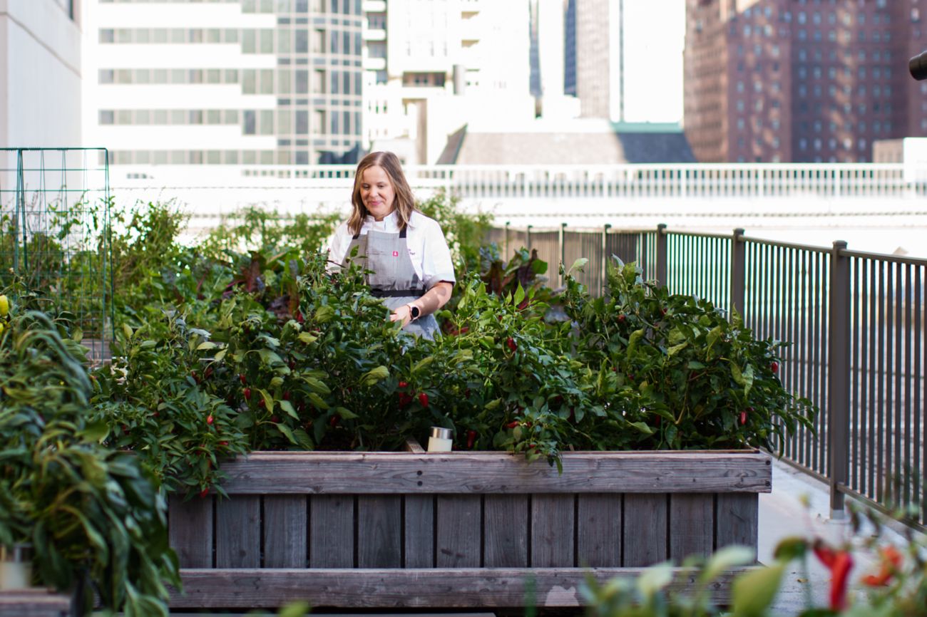 Chef Amy Reynolds - Terraza con jardín en la azotea