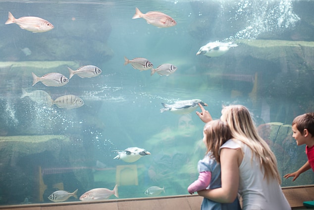 Family in aquarium looking at fish.
