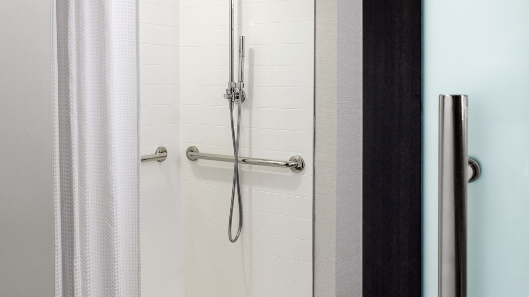 Accessible Bathroom Roll in Shower