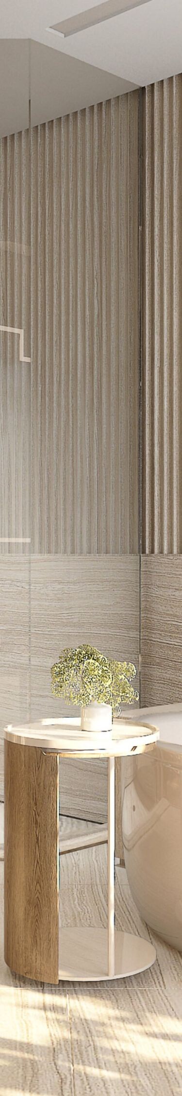 Bồn tắm độc lập và vòi sen đứng