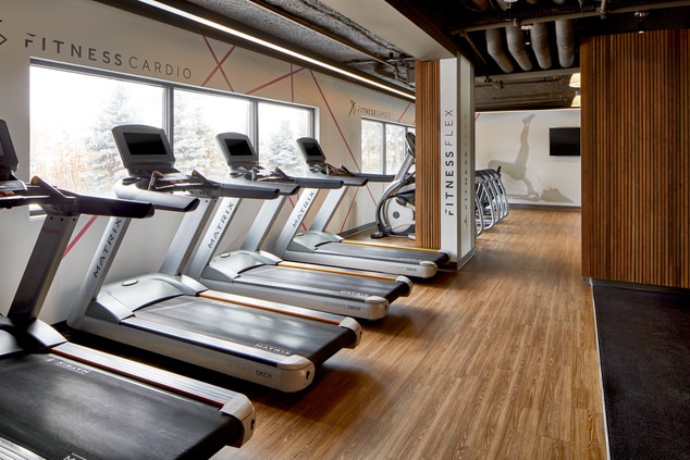 Treadmills and ellipticals in a fitness center