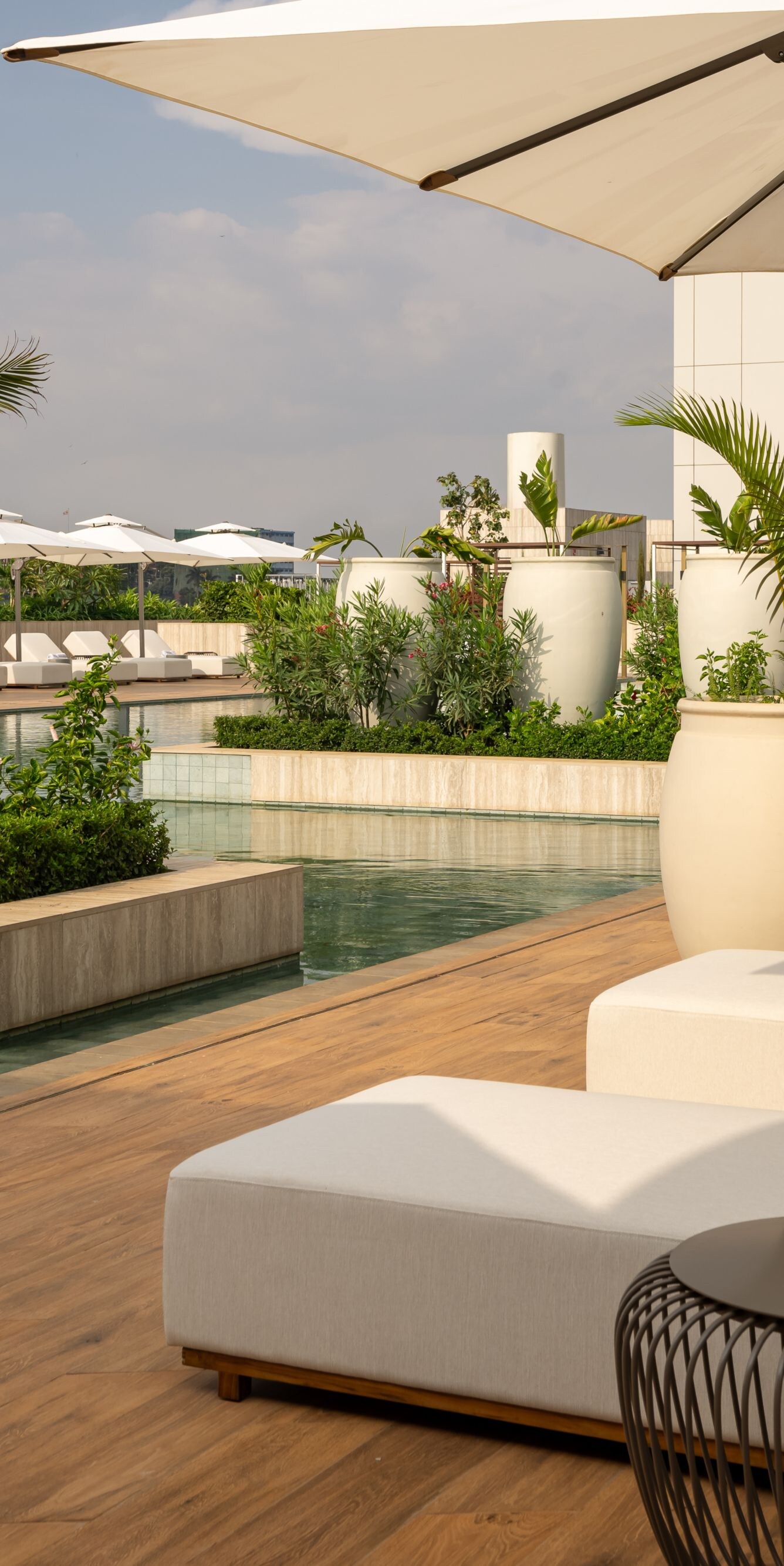Rooftop pool with lounge chairs and plants