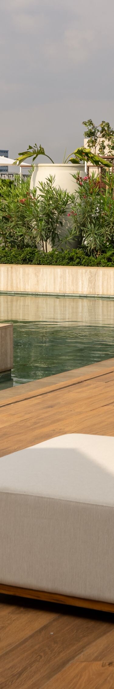 Rooftop pool with lounge chairs and plants