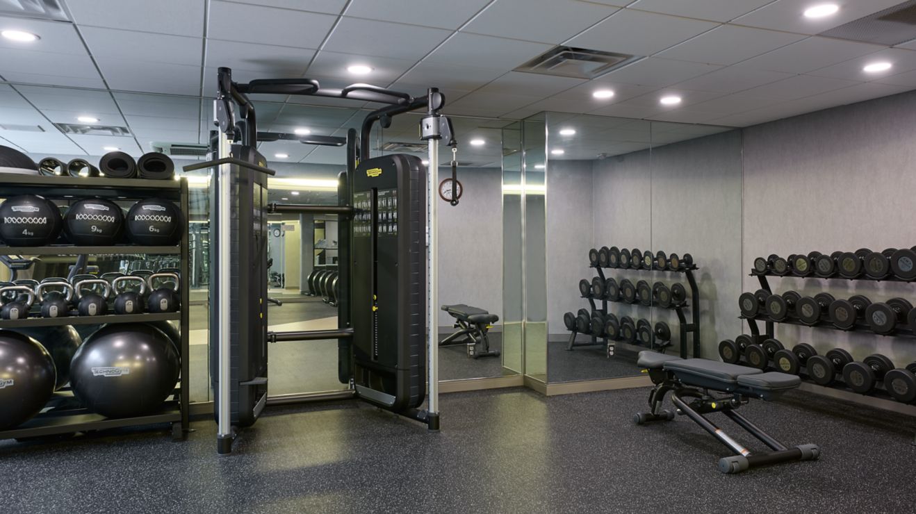 free weights, lifting rack, exercise bench