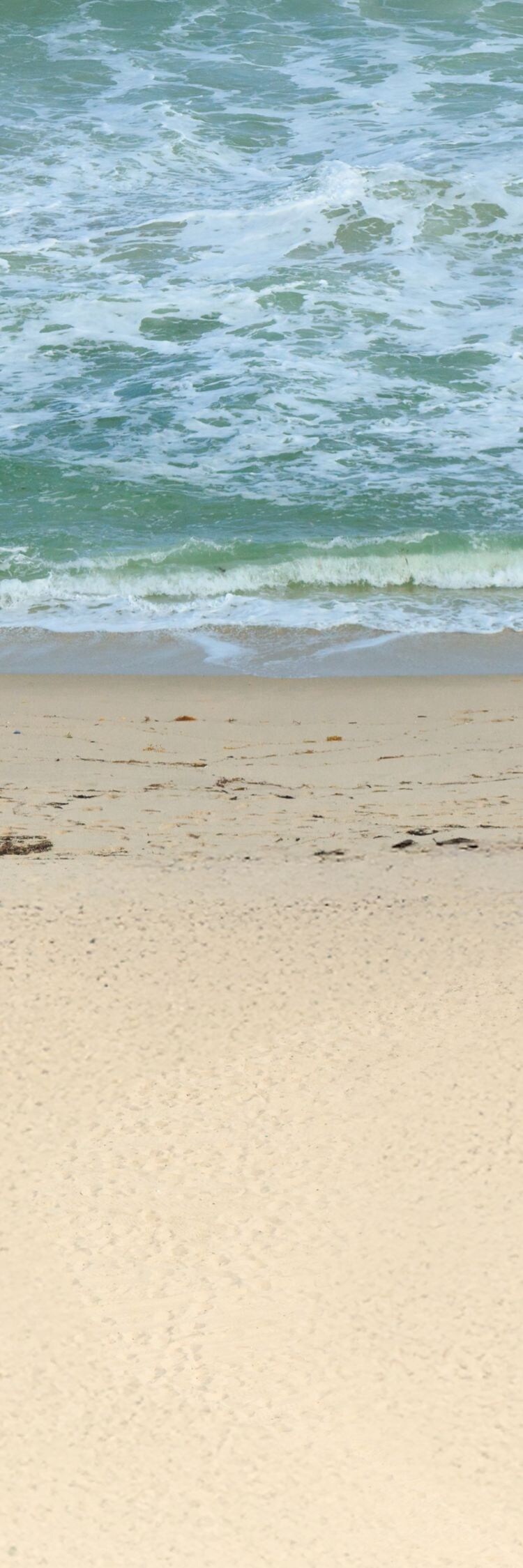 Beach View