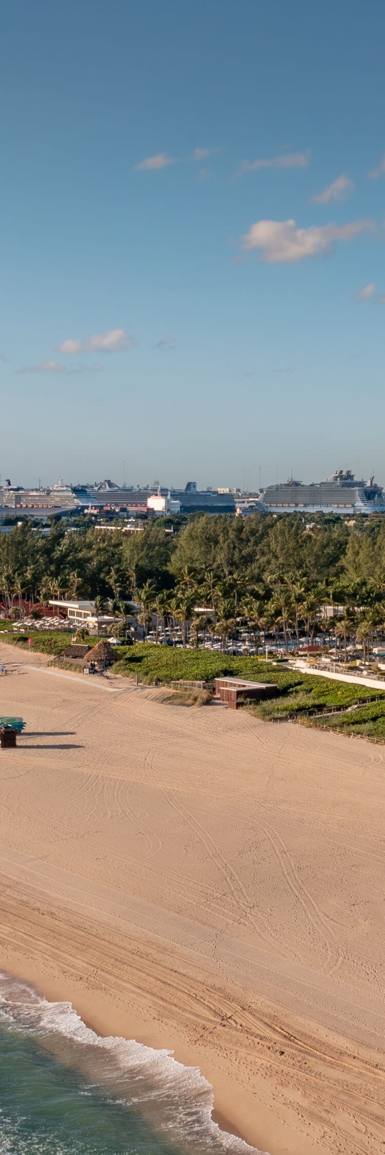 beach -aerial view
