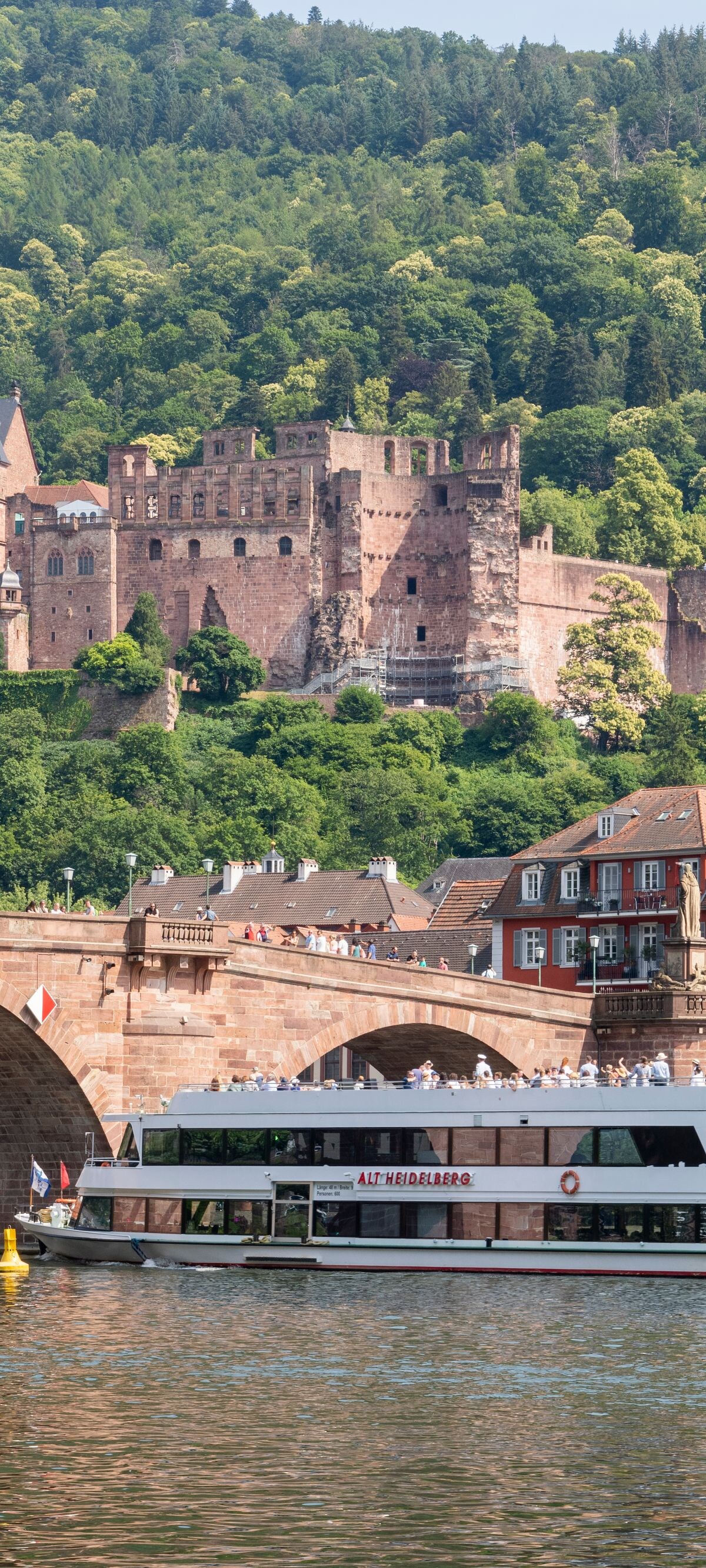 Boat trips on the Neckar river in the day.