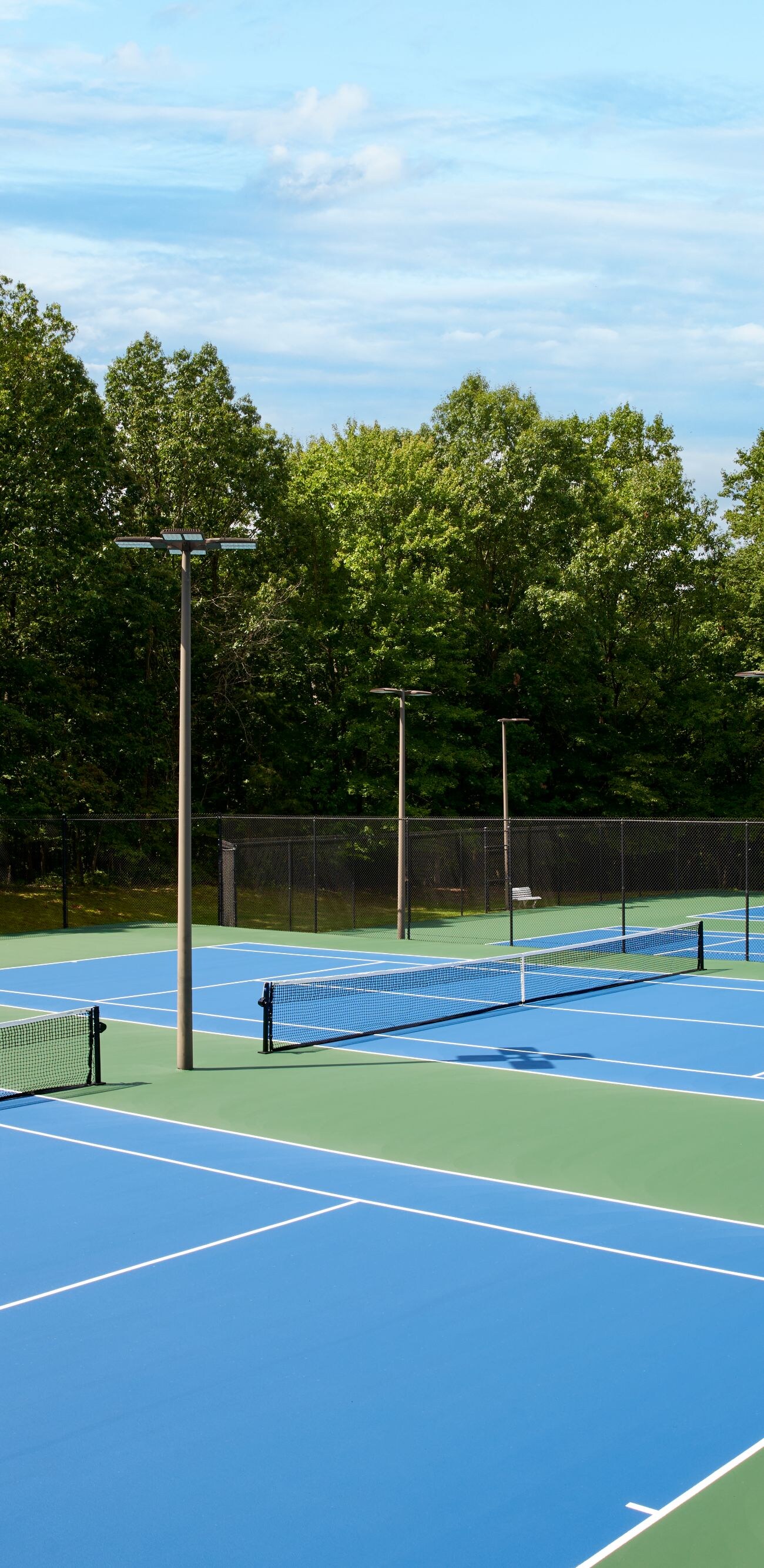 Six outdoor tennis courts surrounded by lush trees