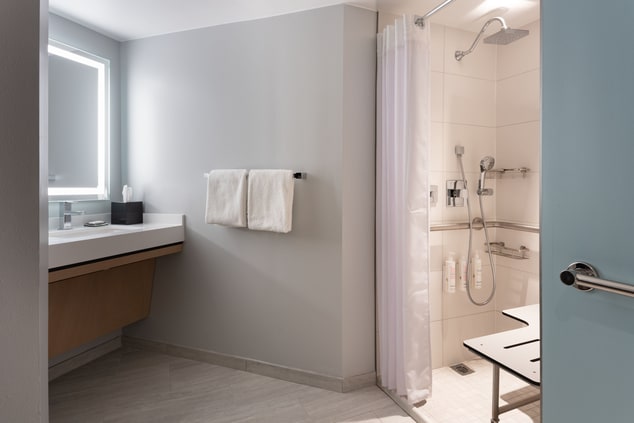 Accessible Room- Roll-In Shower