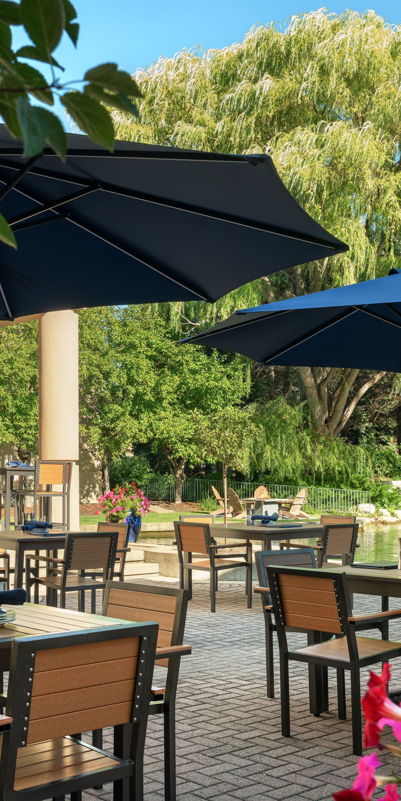 Patio dining and lounge seating