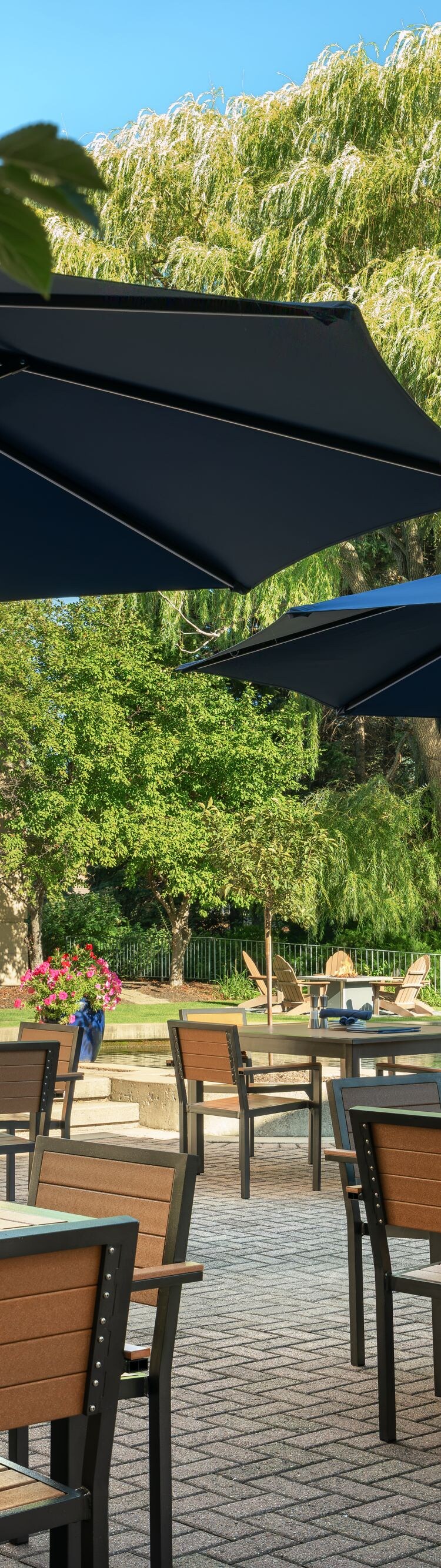 Patio dining and lounge seating