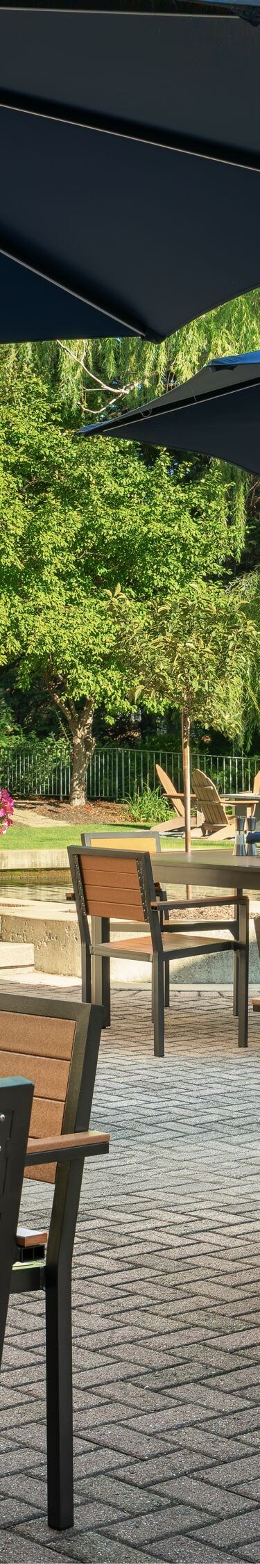 Patio dining and lounge seating