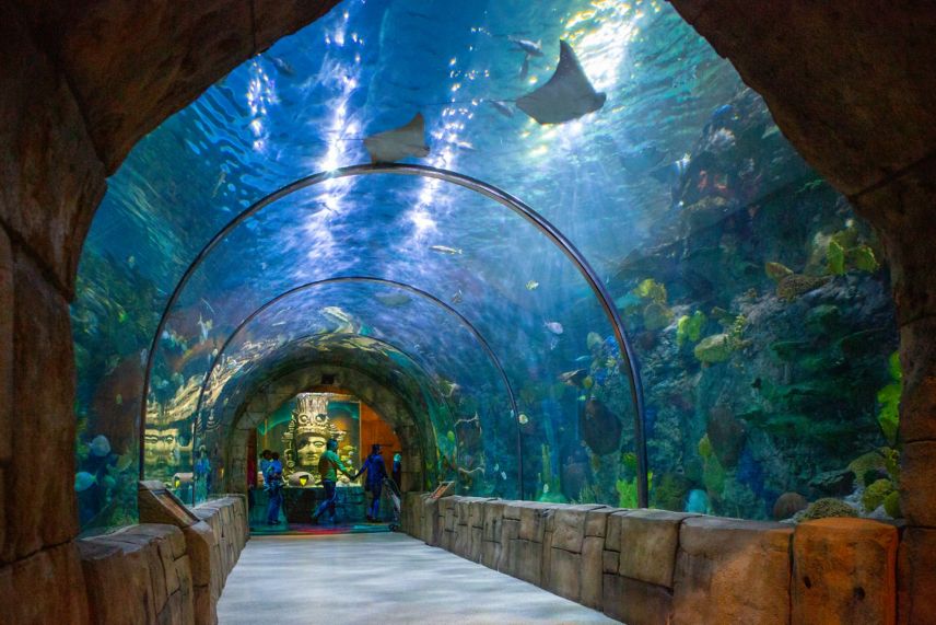 aquarium local attraction
