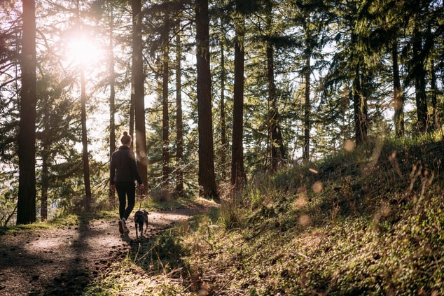 Women walking dog on hike trail
