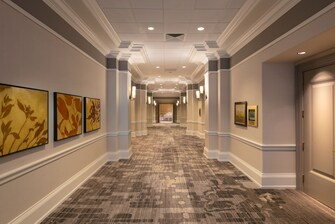 Meeting hallway