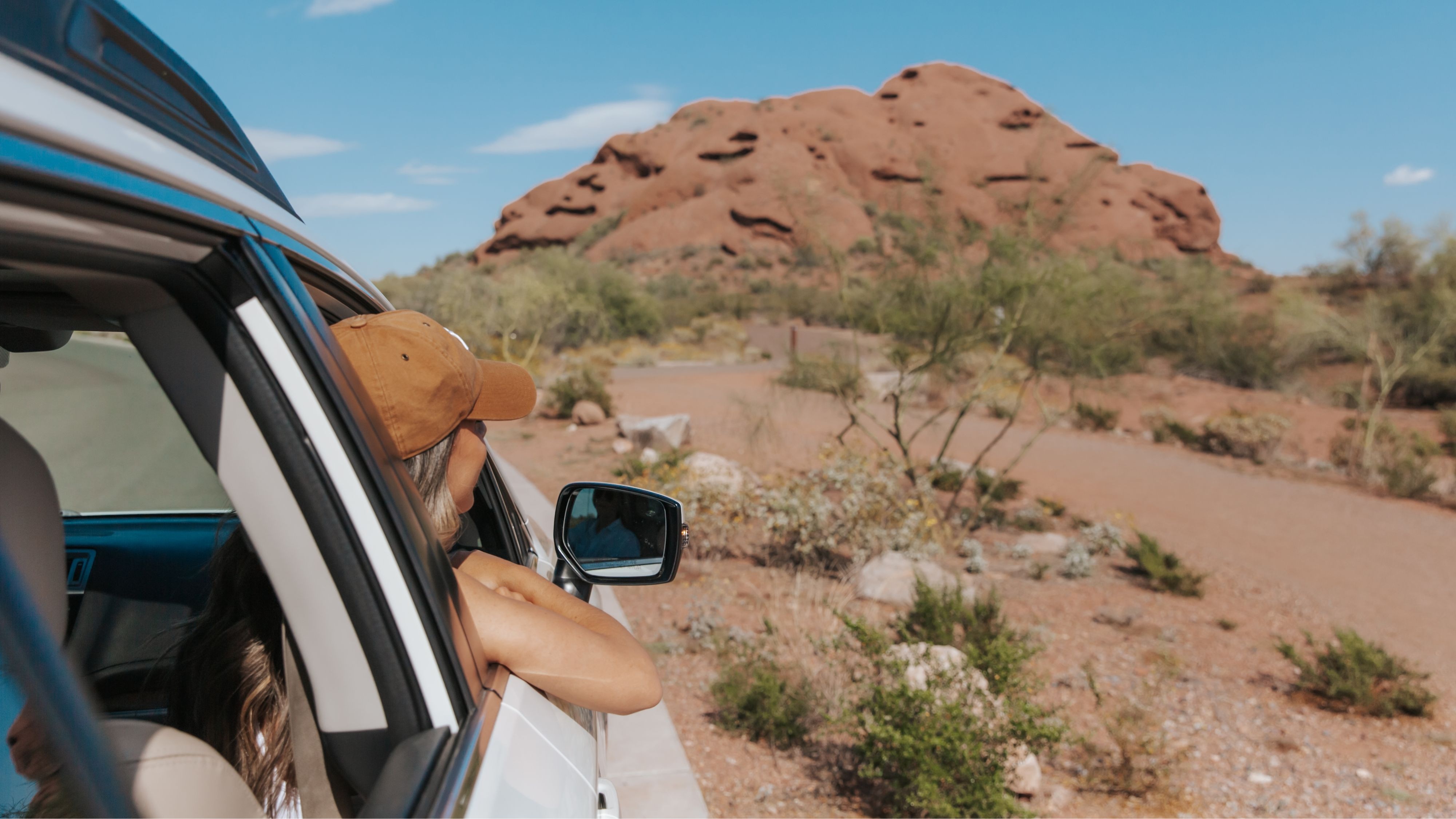 The Savvy Traveler