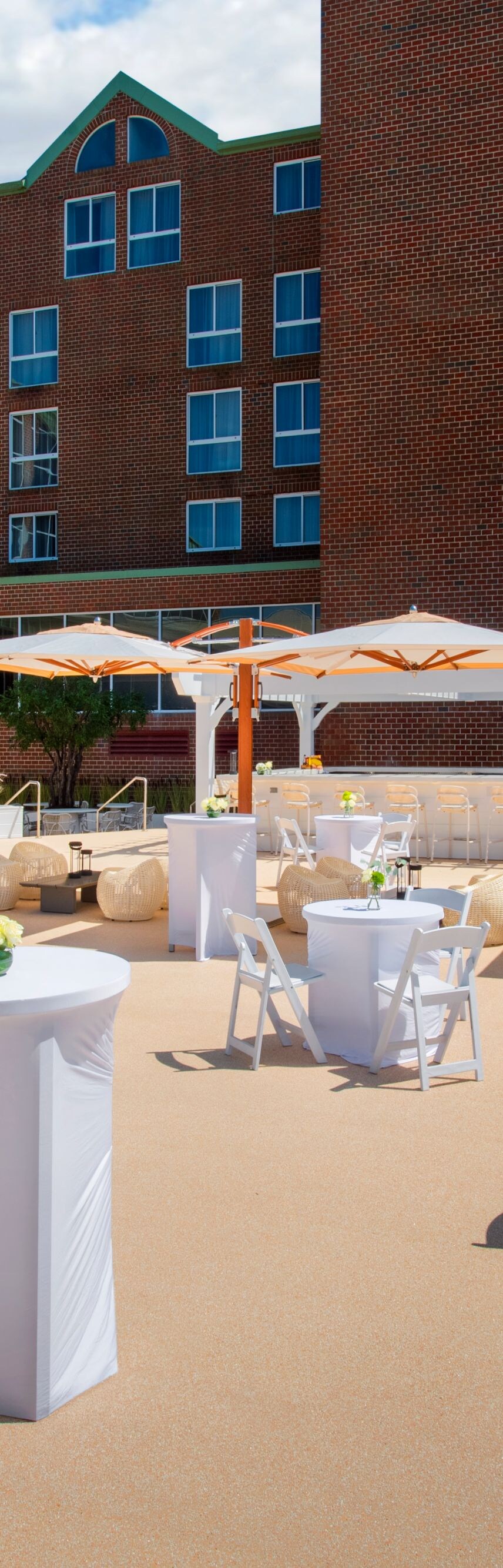 Social Setup / Outdoor / Terrace 