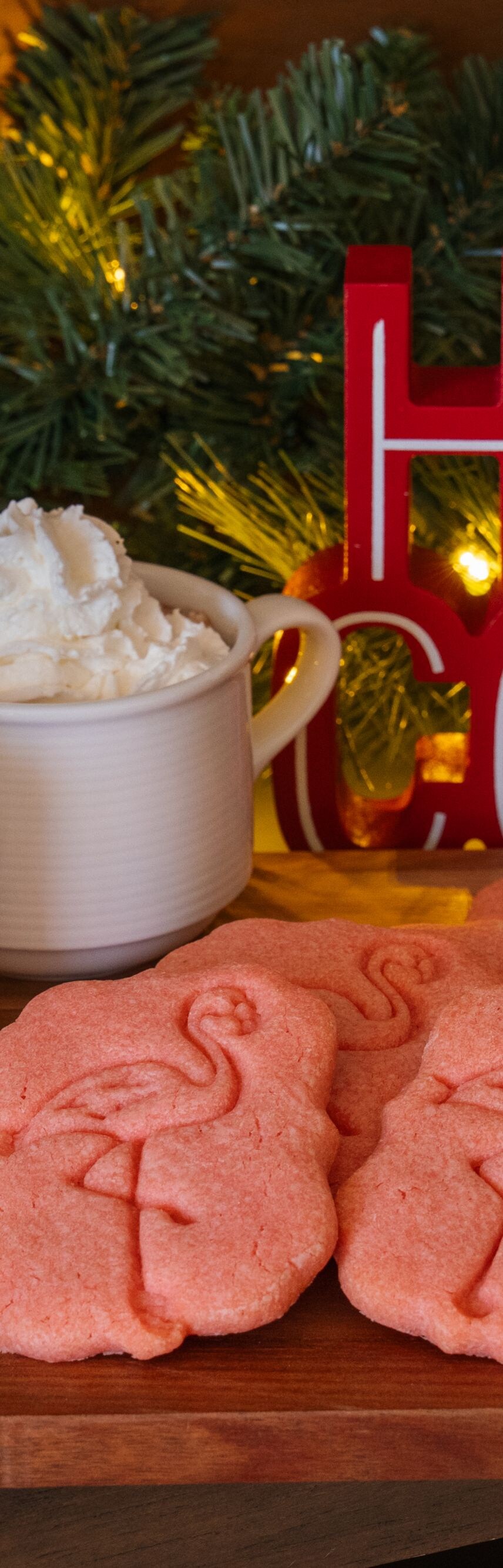 hot cocoa and cookies