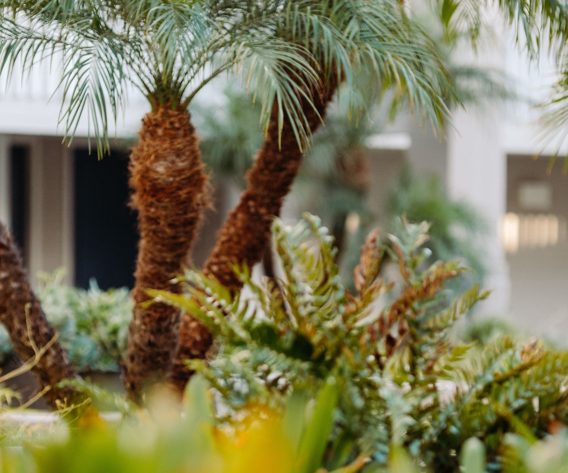Woman looking at the nature at the resort