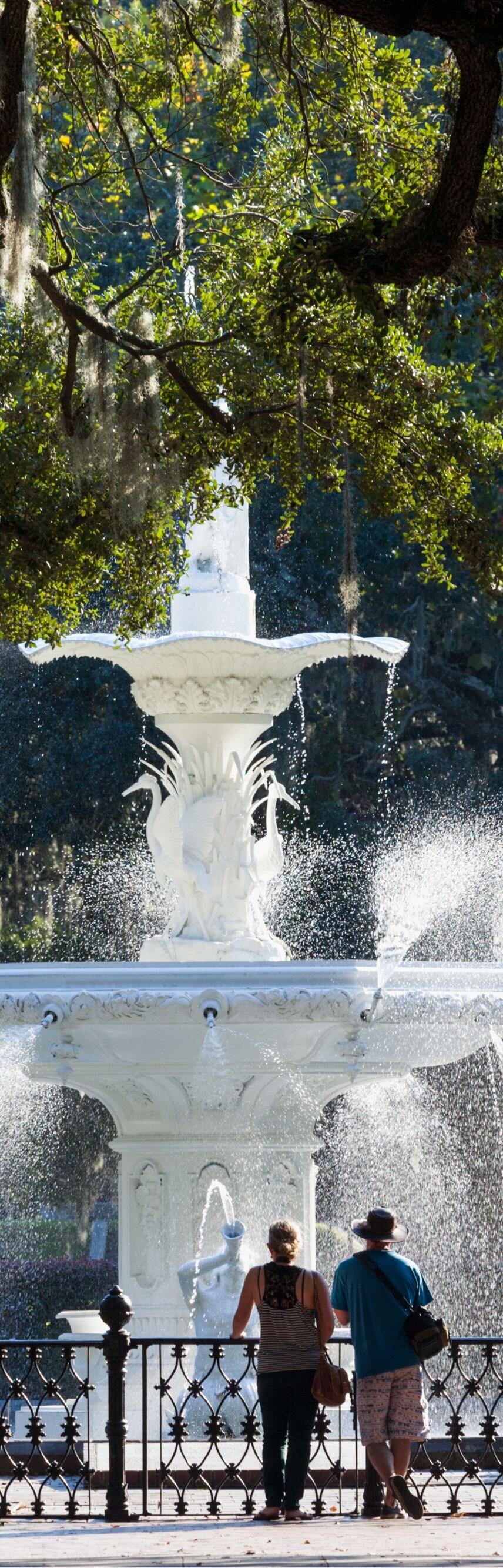 park, savannah, local area